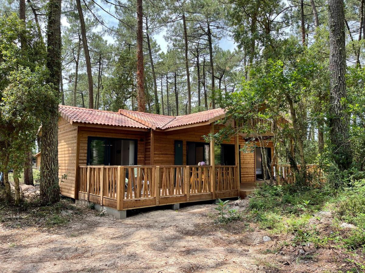 Airial Du Seignanx Ondres Quarto foto