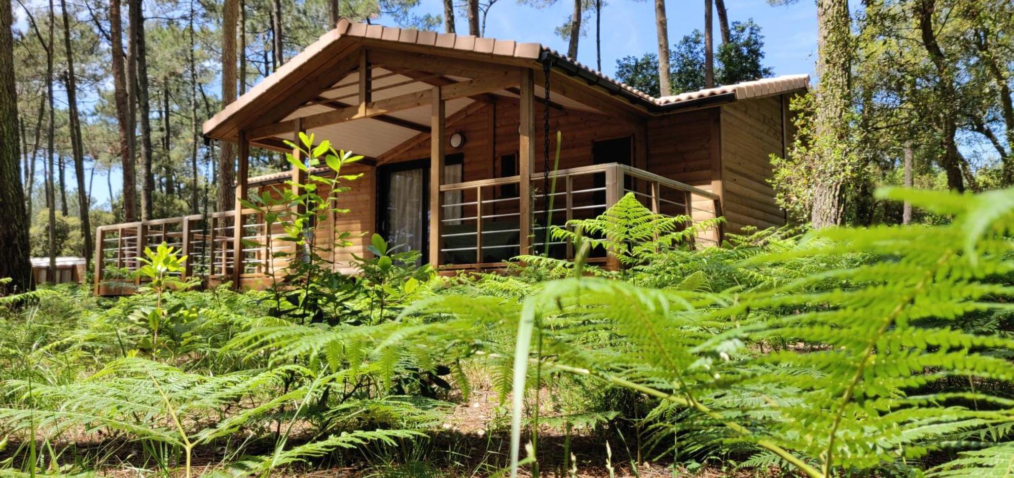 Airial Du Seignanx Ondres Quarto foto